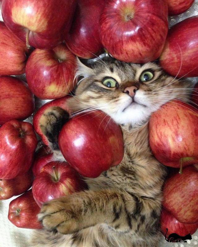 daily picdump 93 pics 1.html - 93 HD Photos | Premium Gallery 2018