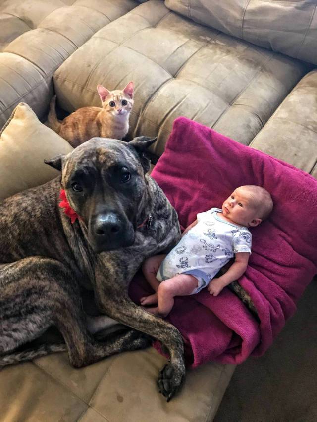 daily picdump 93 pics 1.html - 93 HD Photos | Premium Gallery 2018