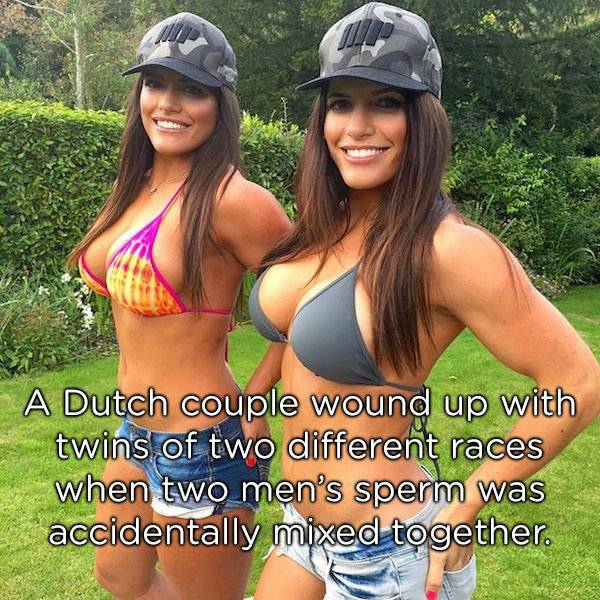 Identical Facts About Twins
