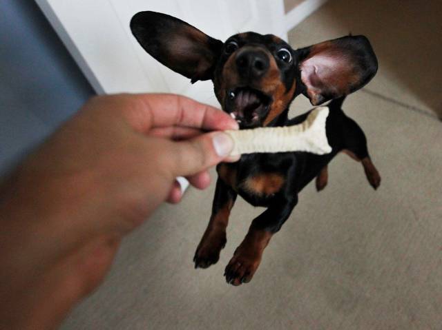 Daily Picdump