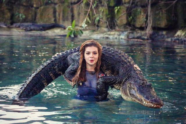Daily Picdump