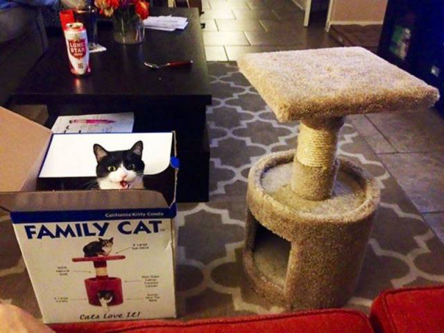 Daily Picdump