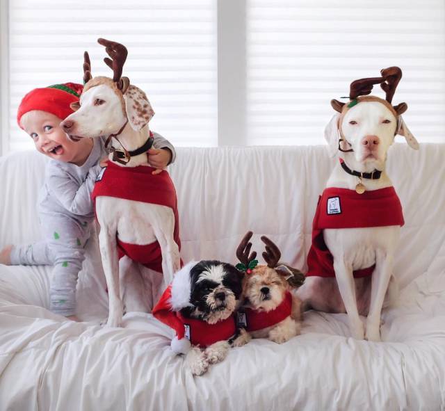 Daily Picdump