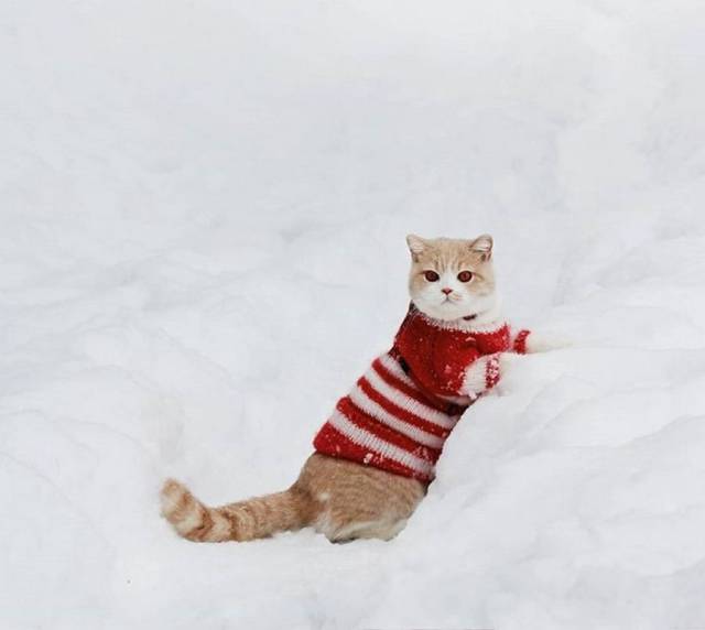 daily picdump 103 pics 52.html - 103 HD Photos | Premium Gallery 2018