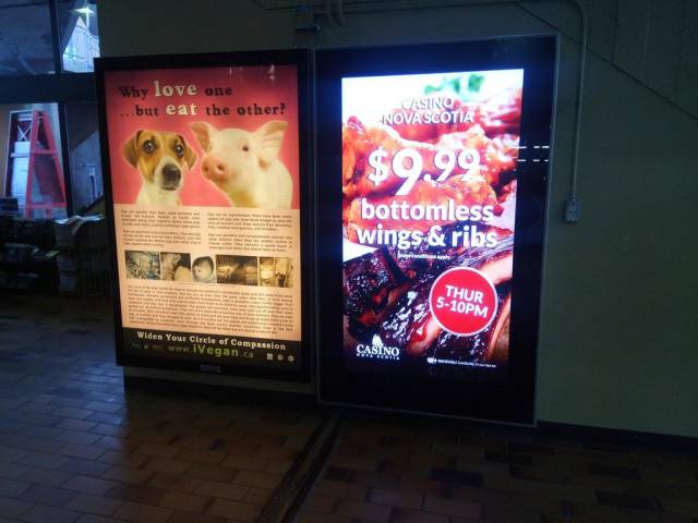 Dirty Mind, Come Here!