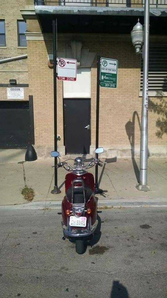Morning Picdump