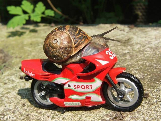 daily picdump 105 pics 48.html - 105 HD Photos | Premium Gallery 2018