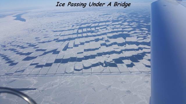 daily picdump 105 pics 48.html - 105 HD Photos | Premium Gallery 2018