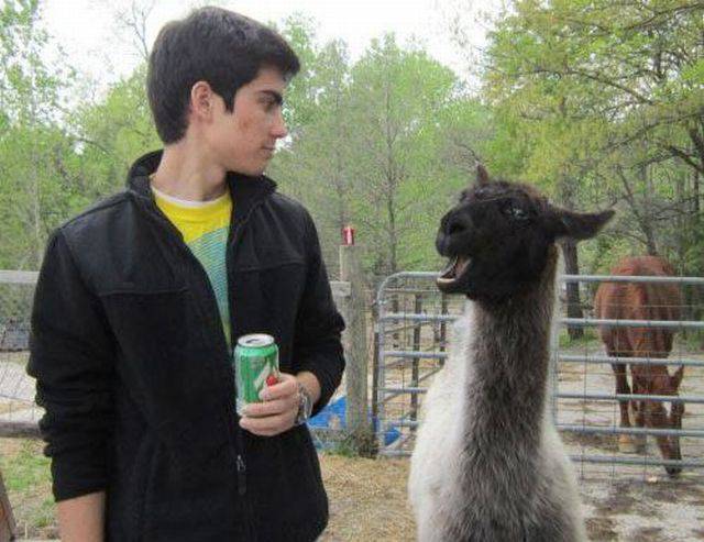 daily picdump 105 pics 48.html - 105 HD Photos | Premium Gallery 2018