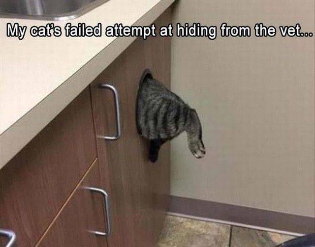 daily picdump 105 pics 48.html - 105 HD Photos | Premium Gallery 2018