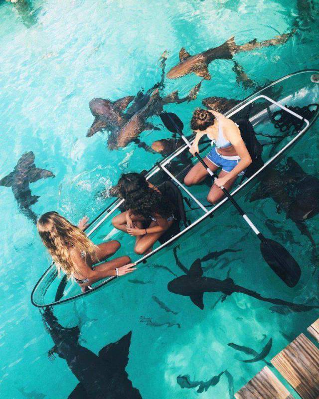 daily picdump 105 pics 48.html - 105 HD Photos | Premium Gallery 2018