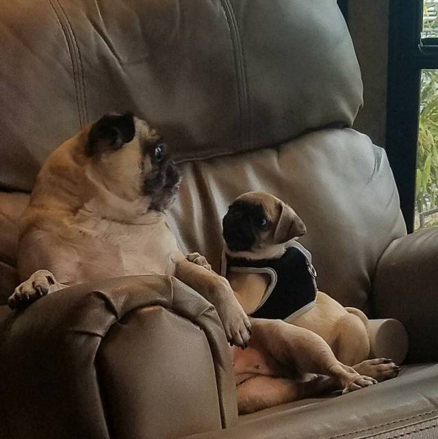 daily picdump 105 pics 48.html - 105 HD Photos | Premium Gallery 2018