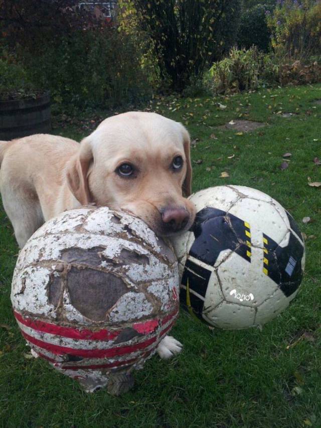 daily picdump 105 pics 48.html - 105 HD Photos | Premium Gallery 2018