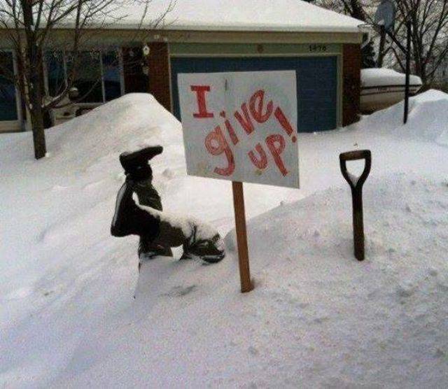 Daily Picdump
