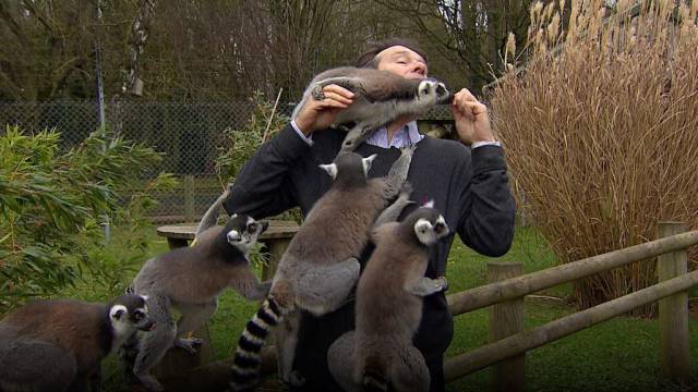 Daily Picdump