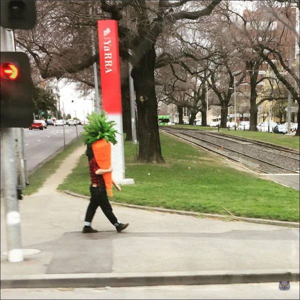 daily picdump 94 pics 4.html - 94 HD Photos | Premium Gallery 2018