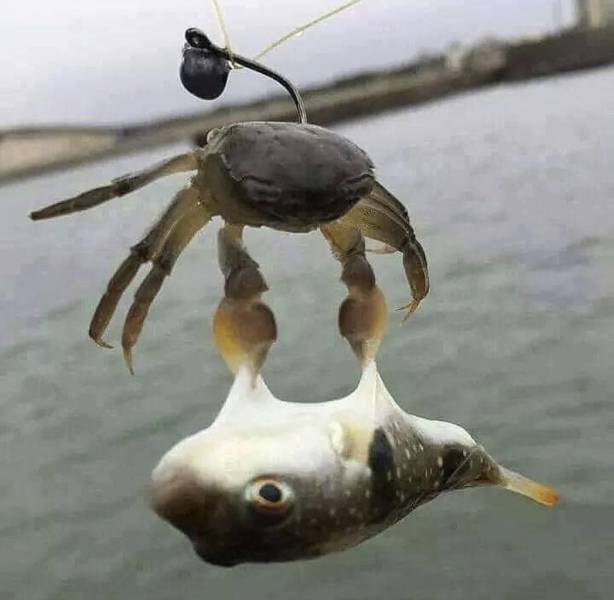 daily picdump 94 pics 4.html - 94 HD Photos | Premium Gallery 2018