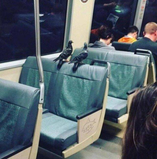 daily picdump 94 pics 4.html - 94 HD Photos | Premium Gallery 2018