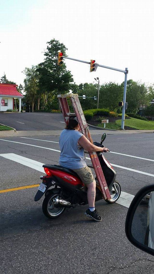 daily picdump 94 pics 4.html - 94 HD Photos | Premium Gallery 2018