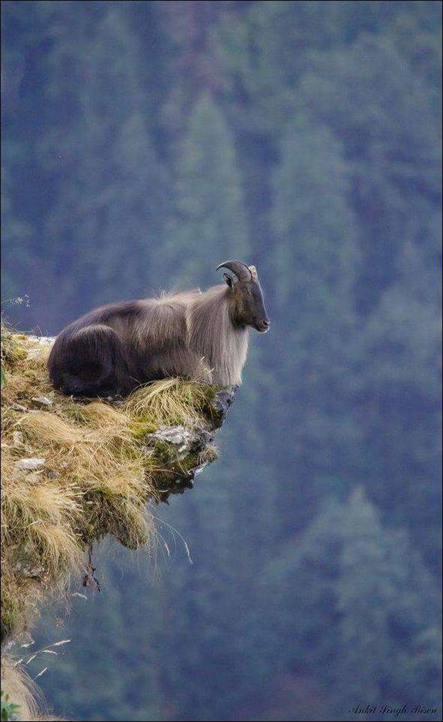daily picdump 94 pics 4.html - 94 HD Photos | Premium Gallery 2018