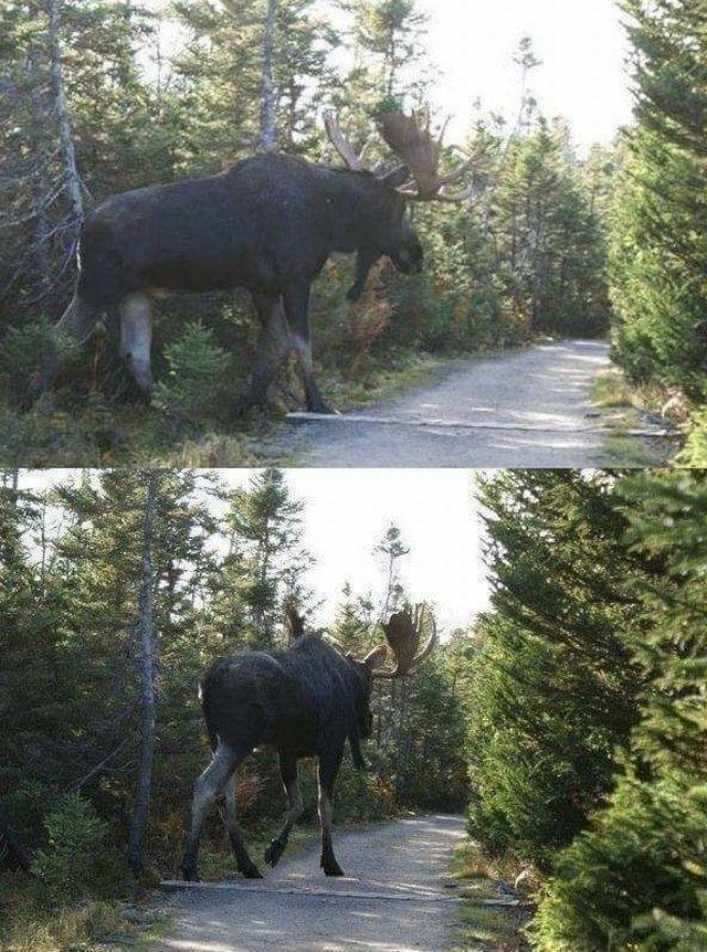 daily picdump 94 pics 4.html - 94 HD Photos | Premium Gallery 2018
