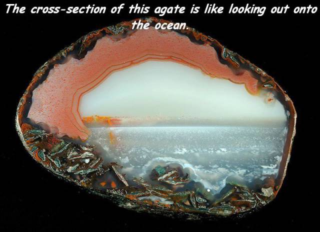 daily picdump weekend edition 66 pics 21.html - 66 HD Photos | Premium Gallery 2018