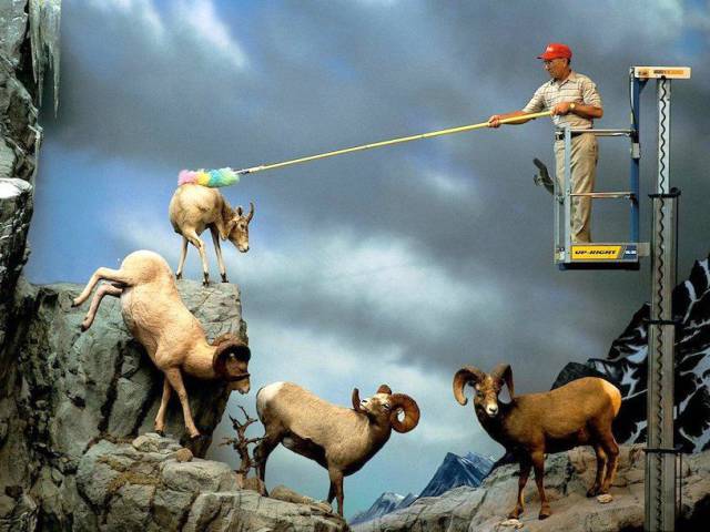 daily picdump weekend edition 66 pics 21.html - 66 HD Photos | Premium Gallery 2018