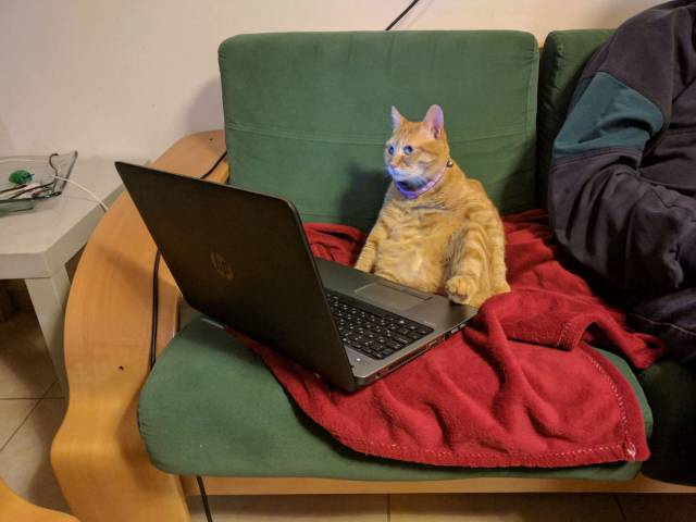 daily picdump weekend edition 66 pics 21.html - 66 HD Photos | Premium Gallery 2018