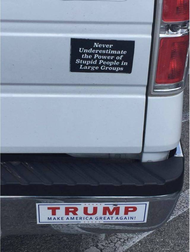 Daily Picdump [WEEKEND EDITION]