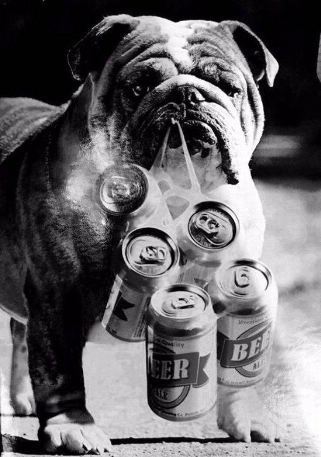 daily picdump weekend edition 66 pics 21.html - 66 HD Photos | Premium Gallery 2018