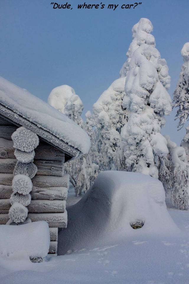 daily picdump weekend edition 66 pics 21.html - 66 HD Photos | Premium Gallery 2018