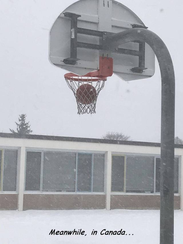 daily picdump weekend edition 66 pics 21.html - 66 HD Photos | Premium Gallery 2018