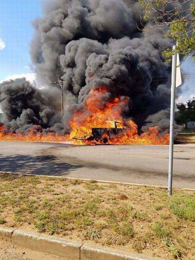 daily picdump weekend edition 66 pics 21.html - 66 HD Photos | Premium Gallery 2018