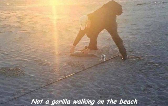 daily picdump 98 pics 42.html - 98 HD Photos | Premium Gallery 2018