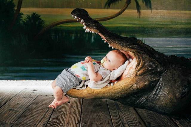 daily picdump 98 pics 42.html - 98 HD Photos | Premium Gallery 2018