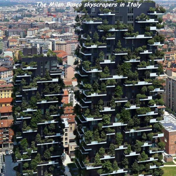 daily picdump 98 pics 42.html - 98 HD Photos | Premium Gallery 2018