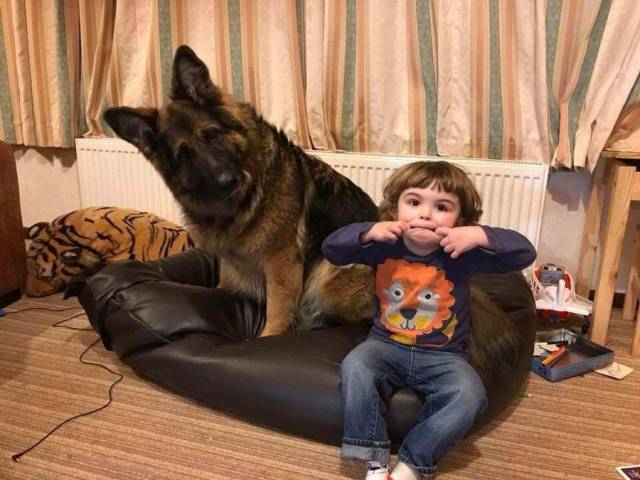 daily picdump 98 pics 42.html - 98 HD Photos | Premium Gallery 2018