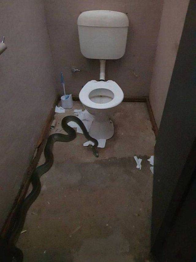 daily picdump 98 pics 42.html - 98 HD Photos | Premium Gallery 2018