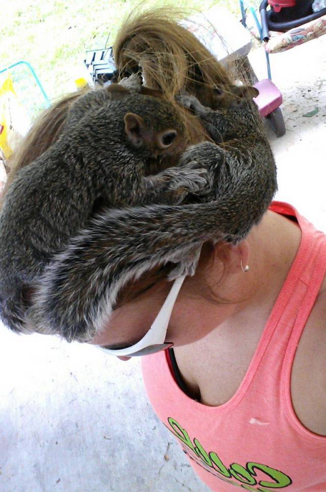 daily picdump 98 pics 42.html - 98 HD Photos | Premium Gallery 2018