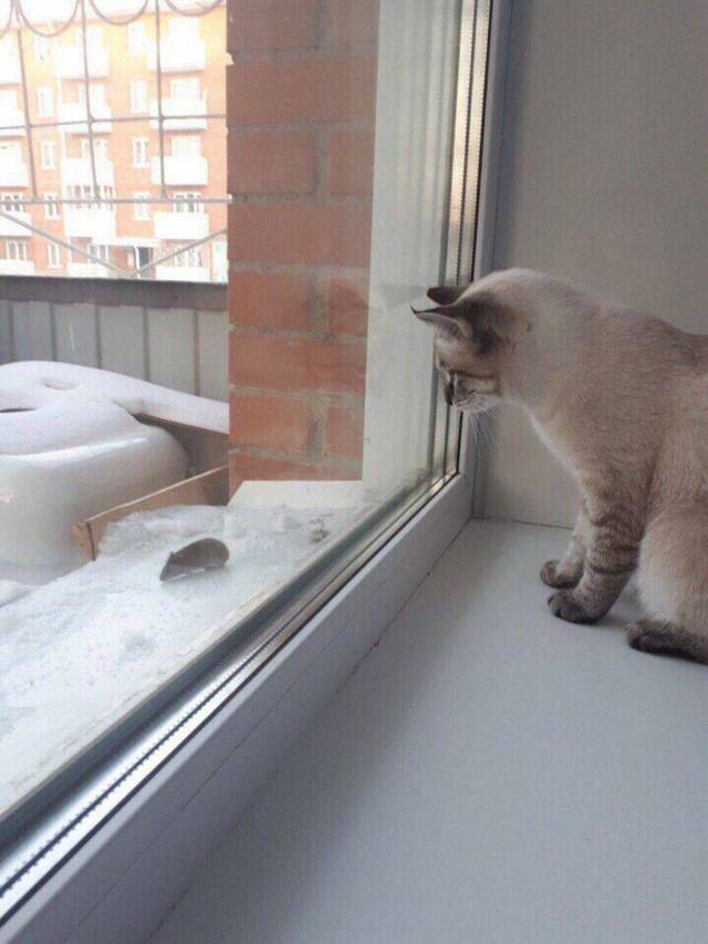 daily picdump 98 pics 42.html - 98 HD Photos | Premium Gallery 2018