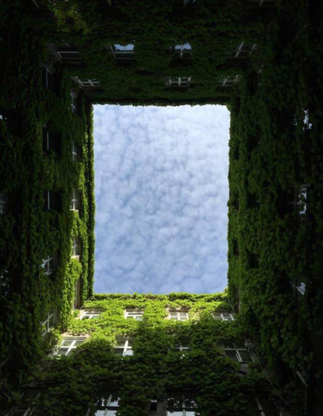 daily picdump 98 pics 42.html - 98 HD Photos | Premium Gallery 2018