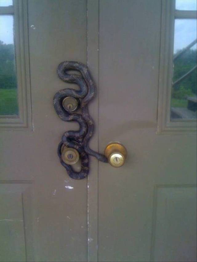 daily picdump 98 pics 42.html - 98 HD Photos | Premium Gallery 2018