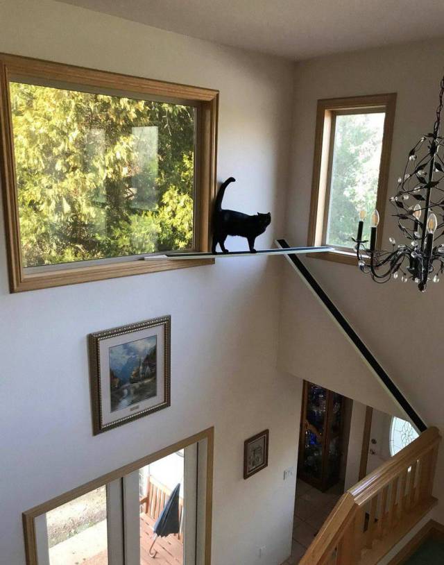 daily picdump 98 pics 42.html - 98 HD Photos | Premium Gallery 2018