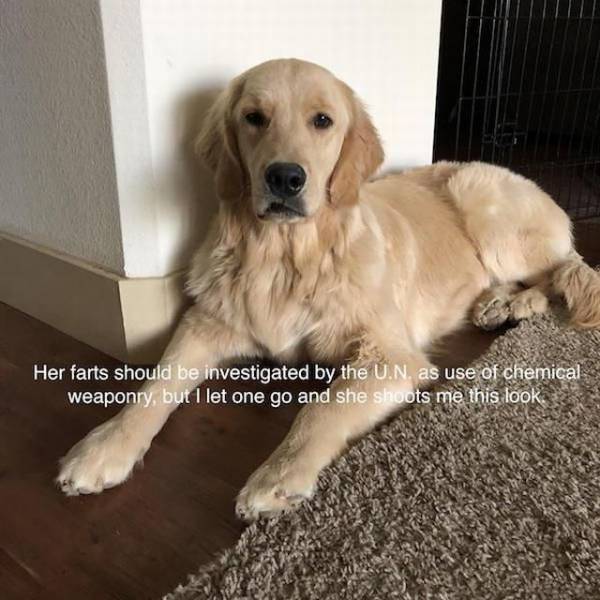 daily picdump 99 pics 41.html - 99 HD Photos | Premium Gallery 2018