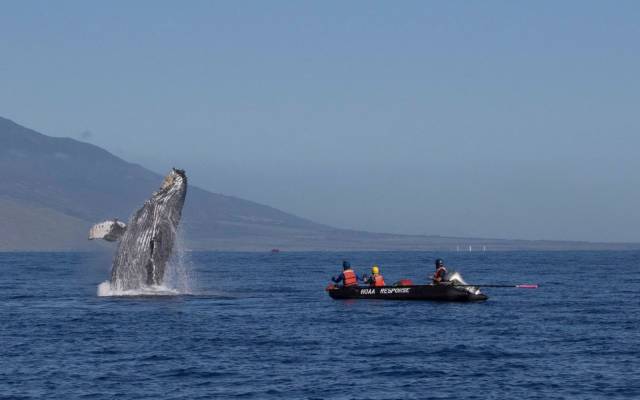 daily picdump 99 pics 41.html - 99 HD Photos | Premium Gallery 2018