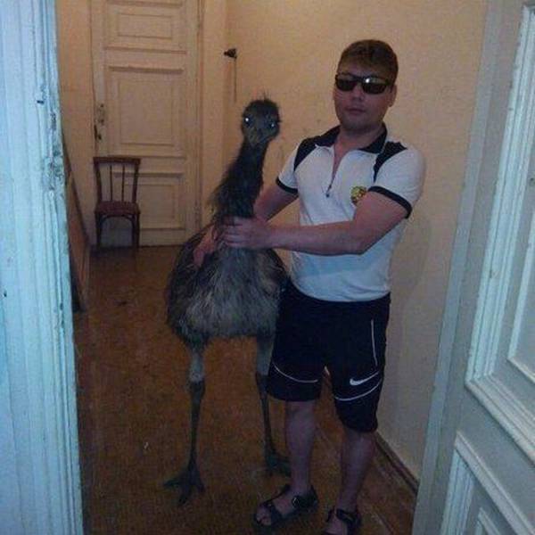 daily picdump 99 pics 41.html - 99 HD Photos | Premium Gallery 2018