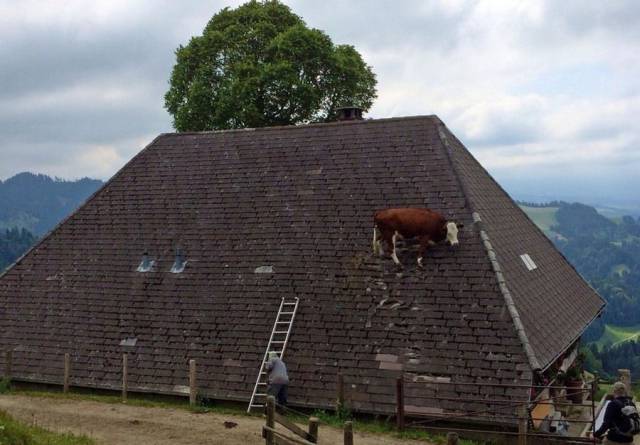 daily picdump 99 pics 41.html - 99 HD Photos | Premium Gallery 2018