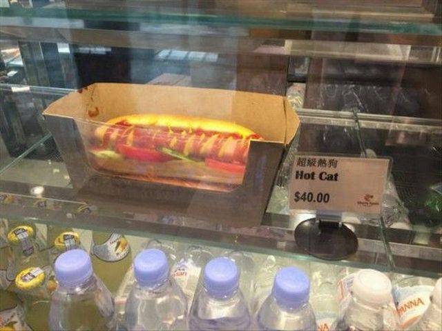 daily picdump 99 pics 41.html - 99 HD Photos | Premium Gallery 2018