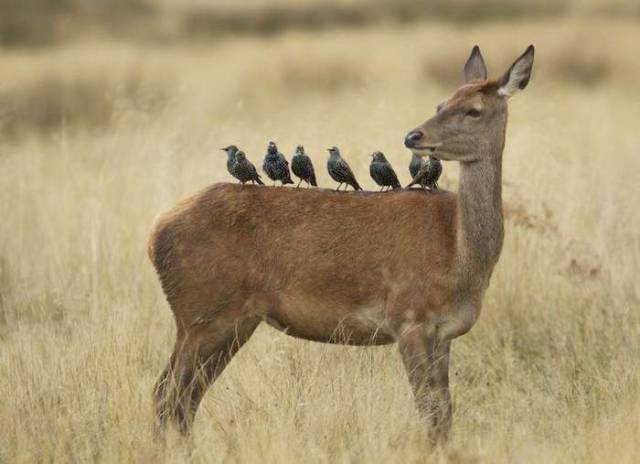 daily picdump 99 pics 41.html - 99 HD Photos | Premium Gallery 2018