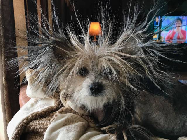 daily picdump 99 pics 41.html - 99 HD Photos | Premium Gallery 2018